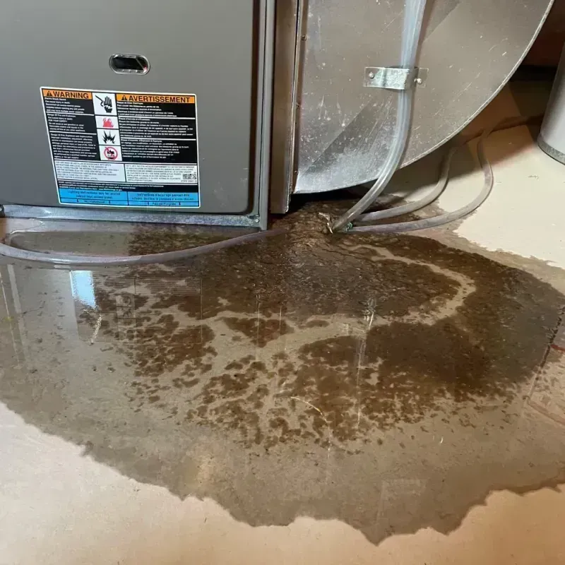 Appliance Leak Cleanup in South Barrington, IL